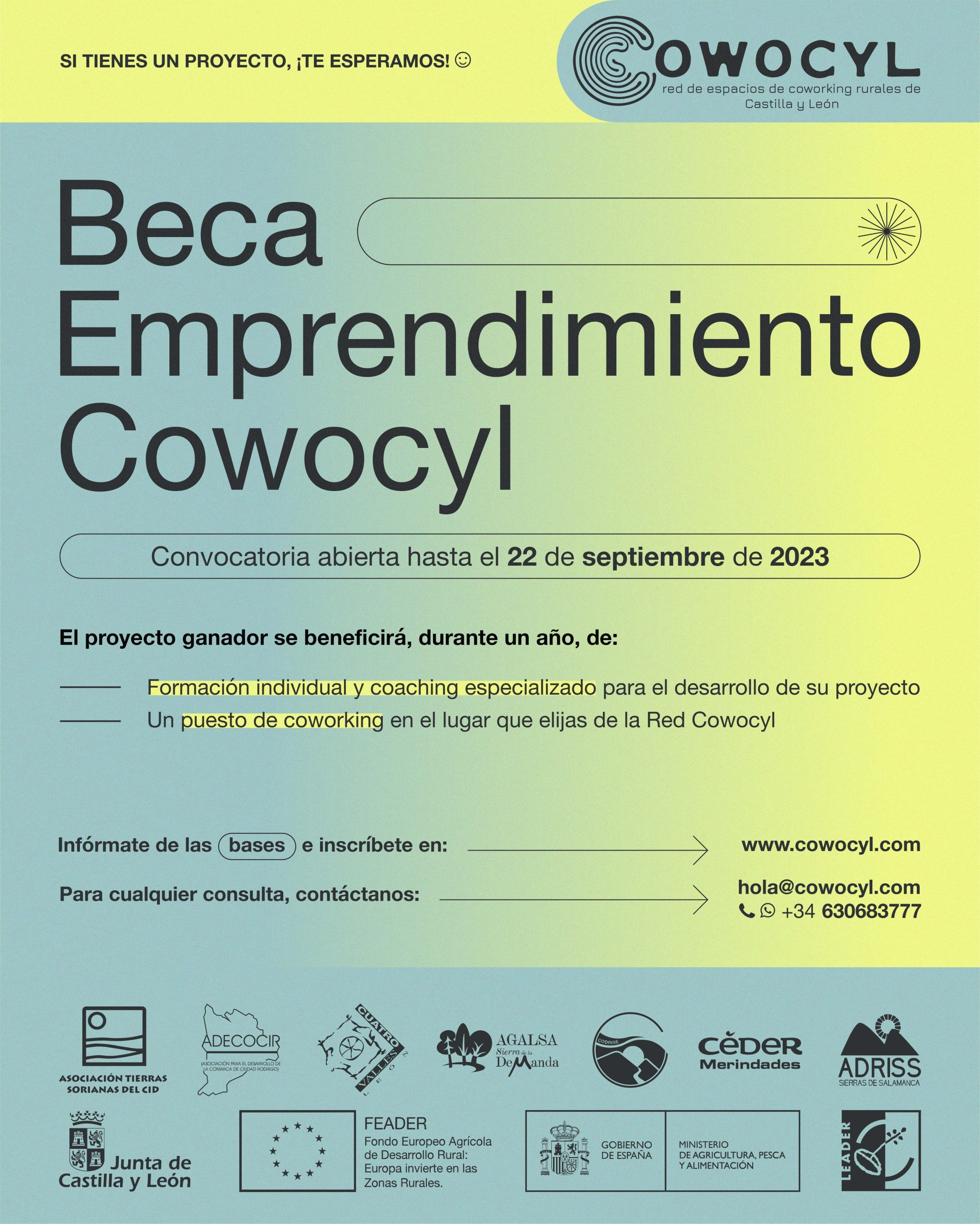 BecaCowocyl_RRSS y Web